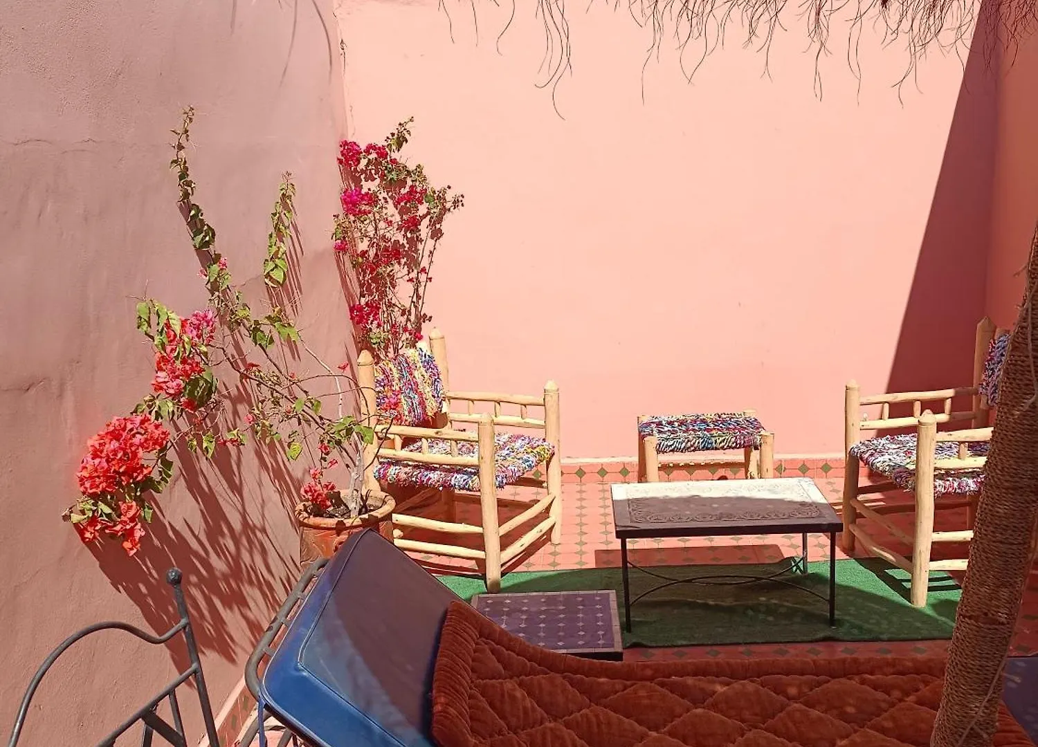 Riad Anisse contacts